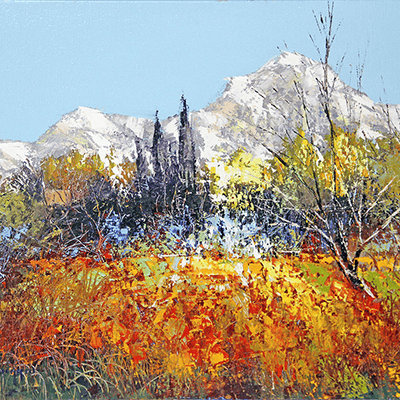 Les Alpilles en Provence 73x60.png